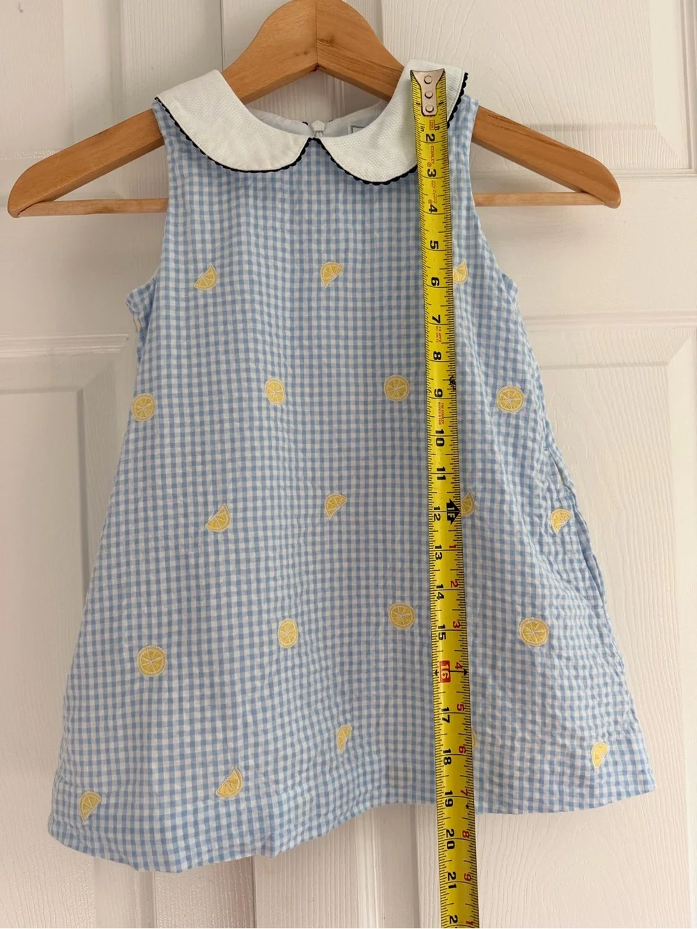 CPC Childrenswear Girls 4T Blue Gingham Lemon Embroidered Peter Pan Collar Dress